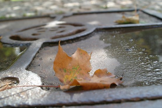 Wetterbild (Foto: nnz) Wetterbild (Foto: nnz)