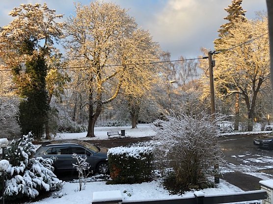 Blick auf den Förstemannpark in Nordhausen im November 2023 (Foto: Bernd Dempwolf) Blick auf den Förstemannpark in Nordhausen im November 2023 (Foto: Bernd Dempwolf)