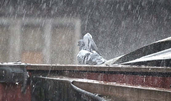 Windig und kräftige Gewitter (Foto: emw) Windig und kräftige Gewitter (Foto: emw)