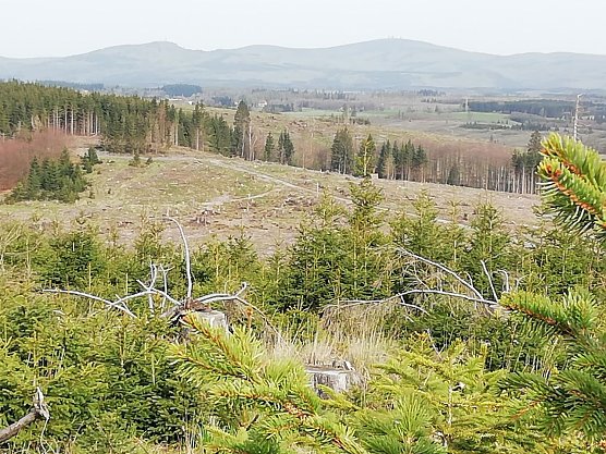 Blick auf den Brocken bei 15 Grad und Sonnenschein (Foto: W. J&ouml;rgens)