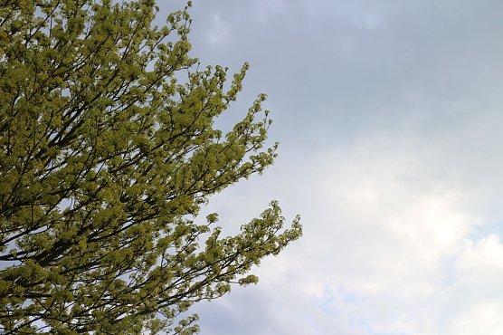 Wetterbild (Foto: agl) Wetterbild (Foto: agl)