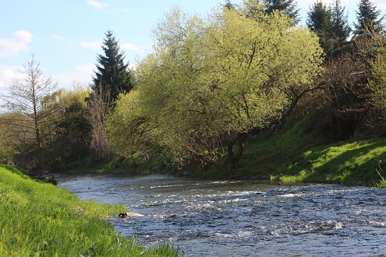 Wetterbild (Foto: agl) Wetterbild (Foto: agl)