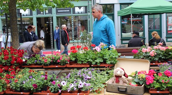 Tausende Besucher zog es heute nach Bad Langensalza zum "Gr&uuml;nen Innenstadtfest" (Foto: oas)