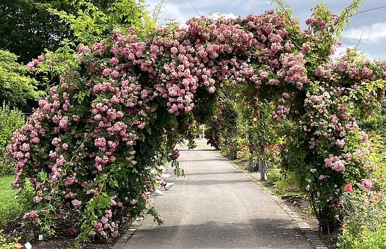 Das Wetter bleibt unbeständig und regnerisch (Foto: oas) Das Wetter bleibt unbeständig und regnerisch (Foto: oas)