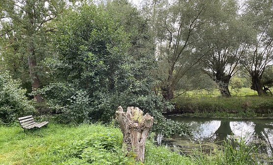 An der Unstrut bei Nägelstedt (Foto: oas) An der Unstrut bei Nägelstedt (Foto: oas)