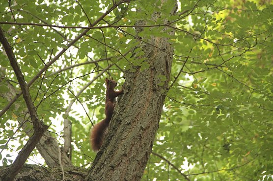 Wetterbild (Foto: agl)