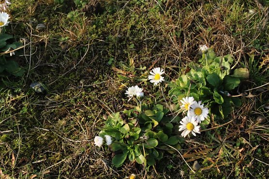 Wetterbild (Foto: agl) Wetterbild (Foto: agl)