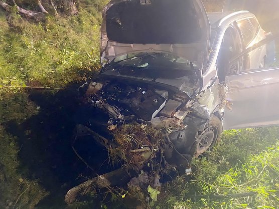 Wildunfall gestern Abend (Foto: Feuerwehr Arenshausen/Silvio Dietzel) Wildunfall gestern Abend (Foto: Feuerwehr Arenshausen/Silvio Dietzel)