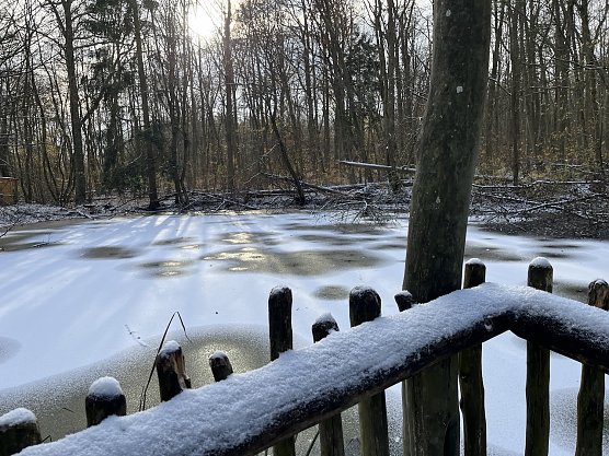 Das kurze Winter-Intermezzo (hier im Nationalpark Hainich) ist erst einmal vorbei (Foto: oas)