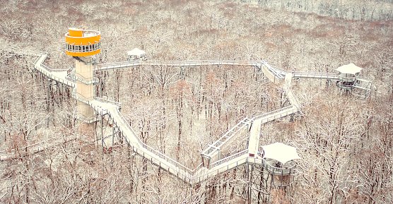  Fantastischer Ausblick im Winter: der Baumkronenpfad von oben (Foto: Trixi Mohring)