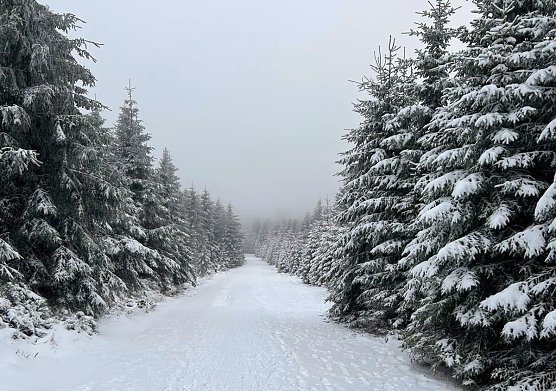 Weihnachten 2025 - auf dem Weg zum Brocken (Foto: privat)