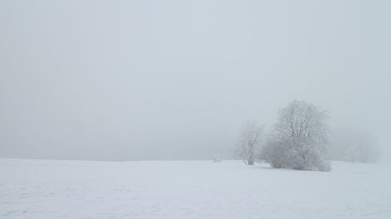 Wetterbild (Foto: agl)