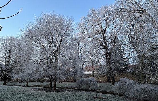 Anhaltend strenge Nachtfr&ouml;ste in den n&auml;chsten Tagen (Foto: oas)