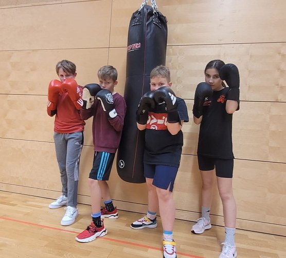Till, Mika, Marta und Arnesa (von links nach rechts) w&uuml;rden sich sehr &uuml;ber viele junge Boxer freuen (Foto: SV Empor Bad Langensalza)