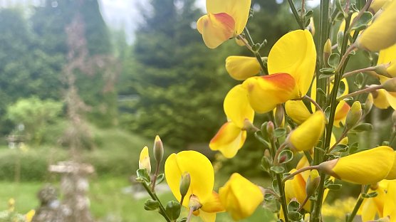 Momentaufnahme in Neustadt (2) (Foto: Volker Weickert)
