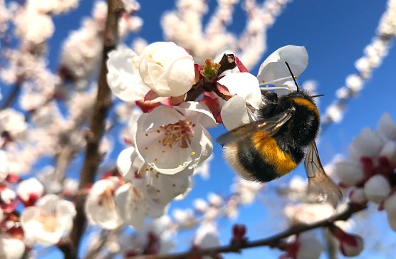 Wetterbild (Foto: nnz) Wetterbild (Foto: nnz)
