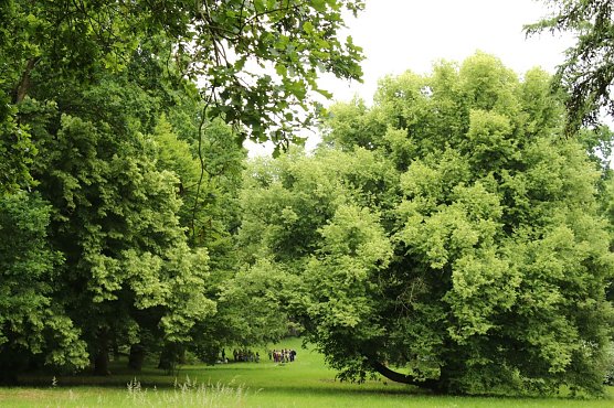 Wetterbild (Foto: agl)