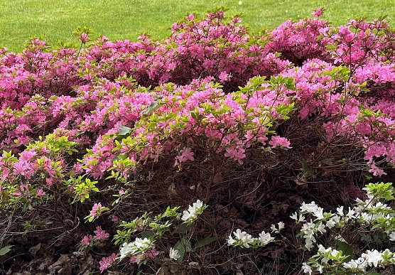 Gewitter- und Starkregengefahr (Foto: oas)