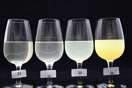 Zitrus-Limonaden unterscheiden sich sowohl in Farbe als auch in Klarheit (Foto: Stiftung Warentest)