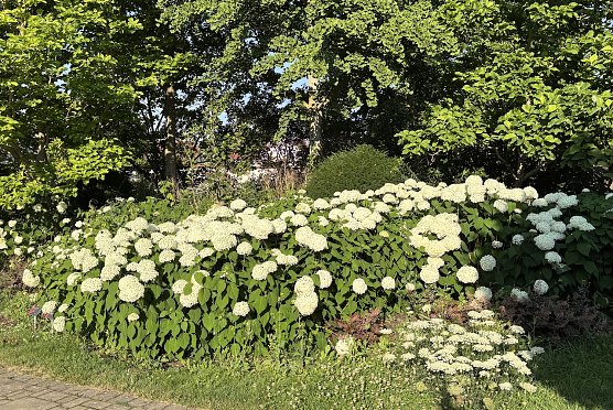 Heute regnerisch und st&uuml;rmisch (Foto: oas)