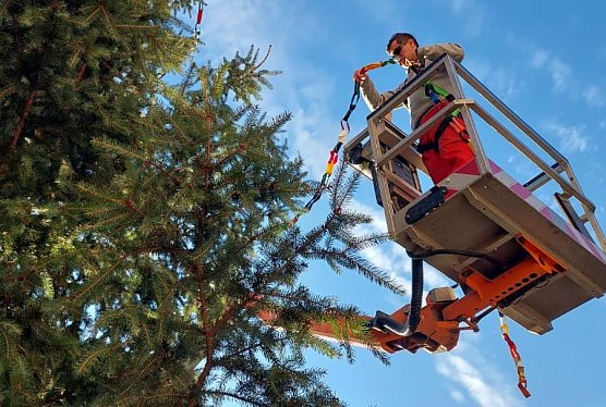 Kirmesb&auml;ume werden geschm&uuml;ckt (Foto: Stadtverwaltung M&uuml;hlhausen)