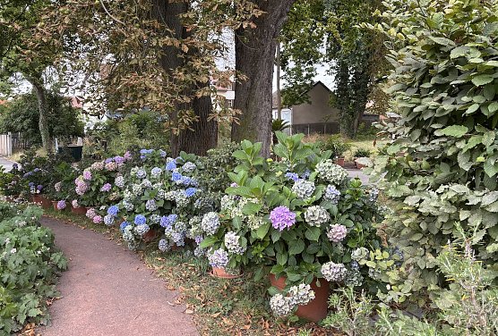 Weiter sch&ouml;nes Sommerwetter in Th&uuml;ringen (Foto: oas)
