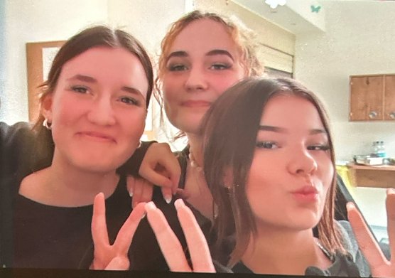 Drei M&auml;dchen aus M&uuml;hlhausen werden vermisst (Foto: LPI)