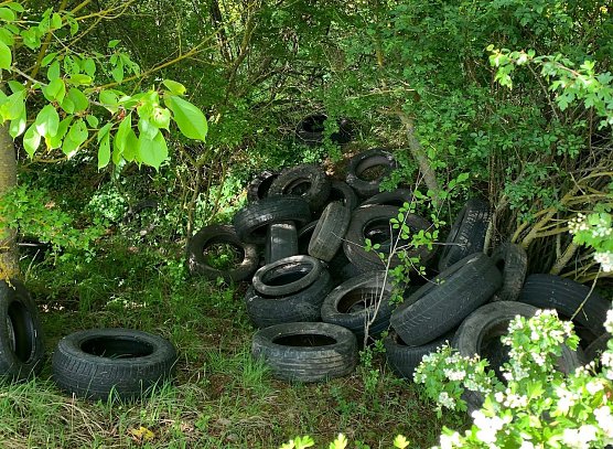 Ein Reifenhaufen entlang eines städtischen Wanderwegs (Foto: privat) Ein Reifenhaufen entlang eines städtischen Wanderwegs (Foto: privat)