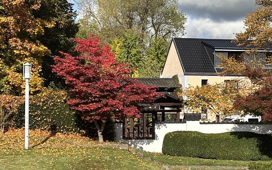 Das Herbstwetter bleibt st&uuml;rmisch (Foto: oas)