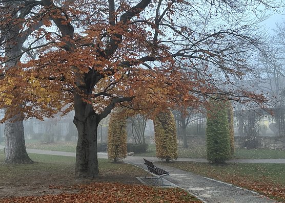 Herbst im Park (Foto: oas)