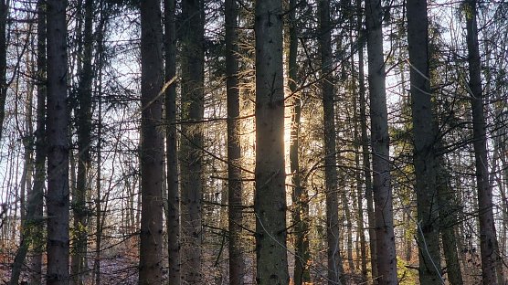Wetterbild (Foto: agl)
