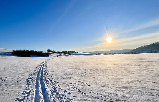 Symbolbild Wetter (Foto: ssc) Symbolbild Wetter (Foto: ssc)