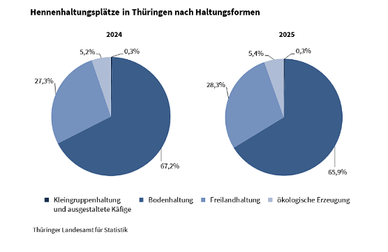 So werden Hühner in Thüringen gehalten. (Foto: Quelle: Statitisches Landesamt) So werden Hühner in Thüringen gehalten. (Foto: Quelle: Statitisches Landesamt)