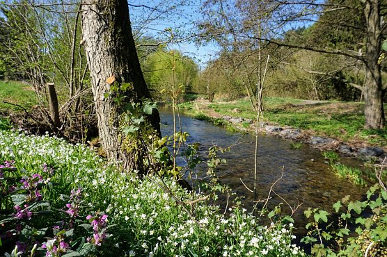 Symbolbild Wetter (Foto: ssc)