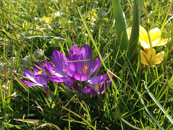Wetterbild (Foto: agl)