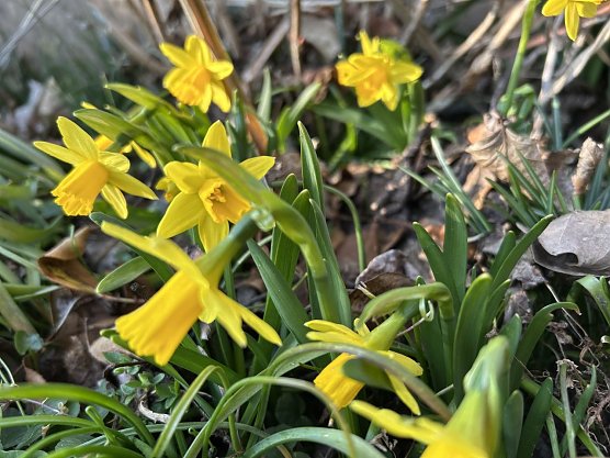 Wetterbild (Foto: nnz)