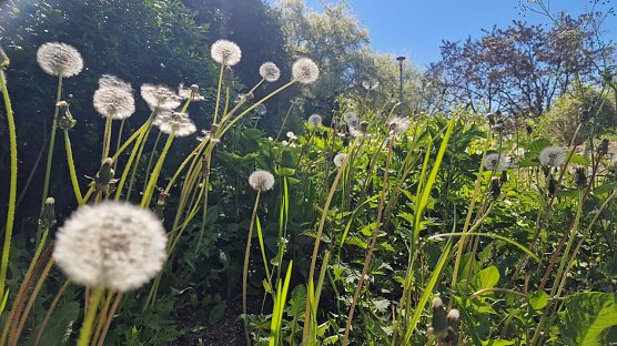 Wetterbild (Foto: agl)