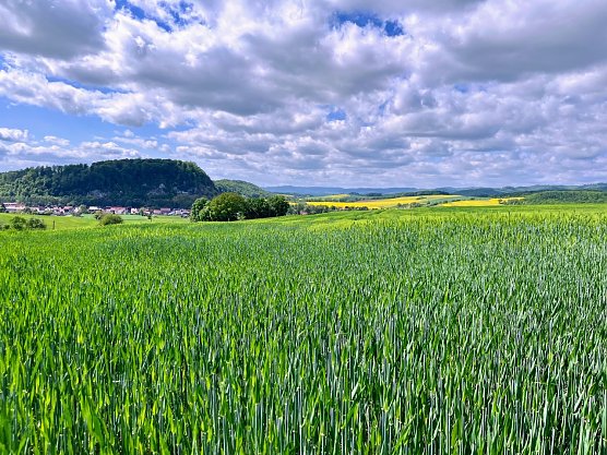 Symbolbild Wetter (Foto: ssc)
