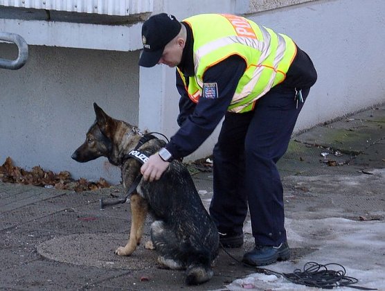 Polizei sucht Spuren (Foto: Polizei) Polizei sucht Spuren (Foto: Polizei)