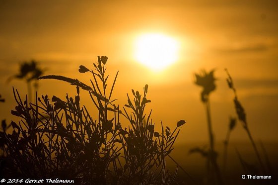 Bild: Wetter-Bild