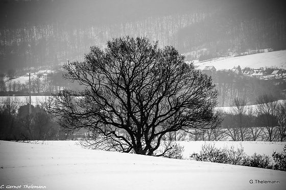 Bild: Kommt jetzt der Winter?