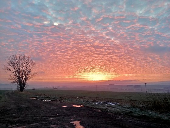 Bild: Sonnenaufgang im Landkreis Nordhausen