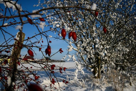 Bild: Wetter-Bild