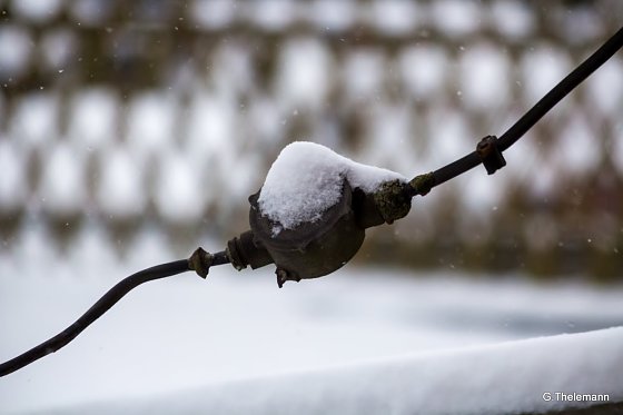 Bild: Wetter-Bild