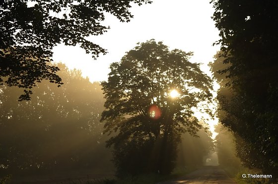 Bild: Wetter-Bild