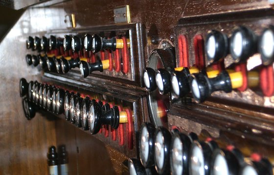 Bild: Die Orgel der St. Petri-Kirche