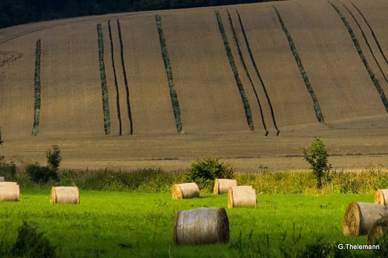 Bild: Wetter-Bild