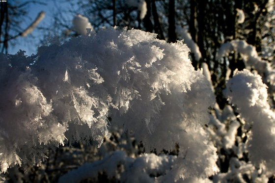 Bild: Wetter-Bild