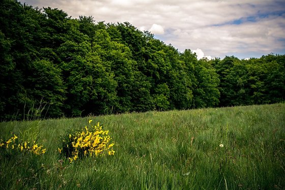 Wetter-Bild Foto: Gernot Thelemann