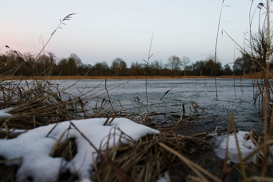 Bild: Wird es nochmal Winter?